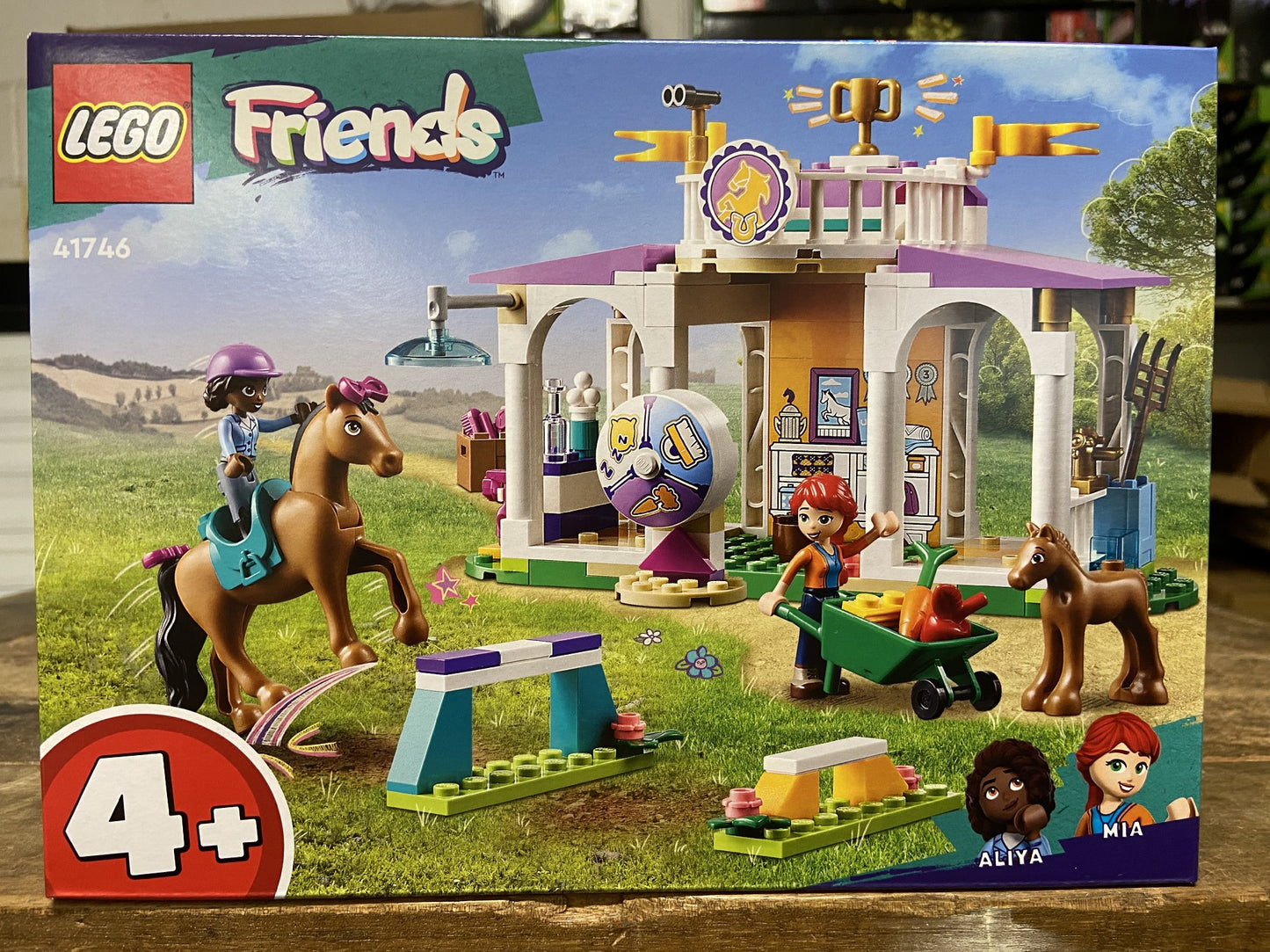 41746 HORSE TRAINING FRIENDS 4+