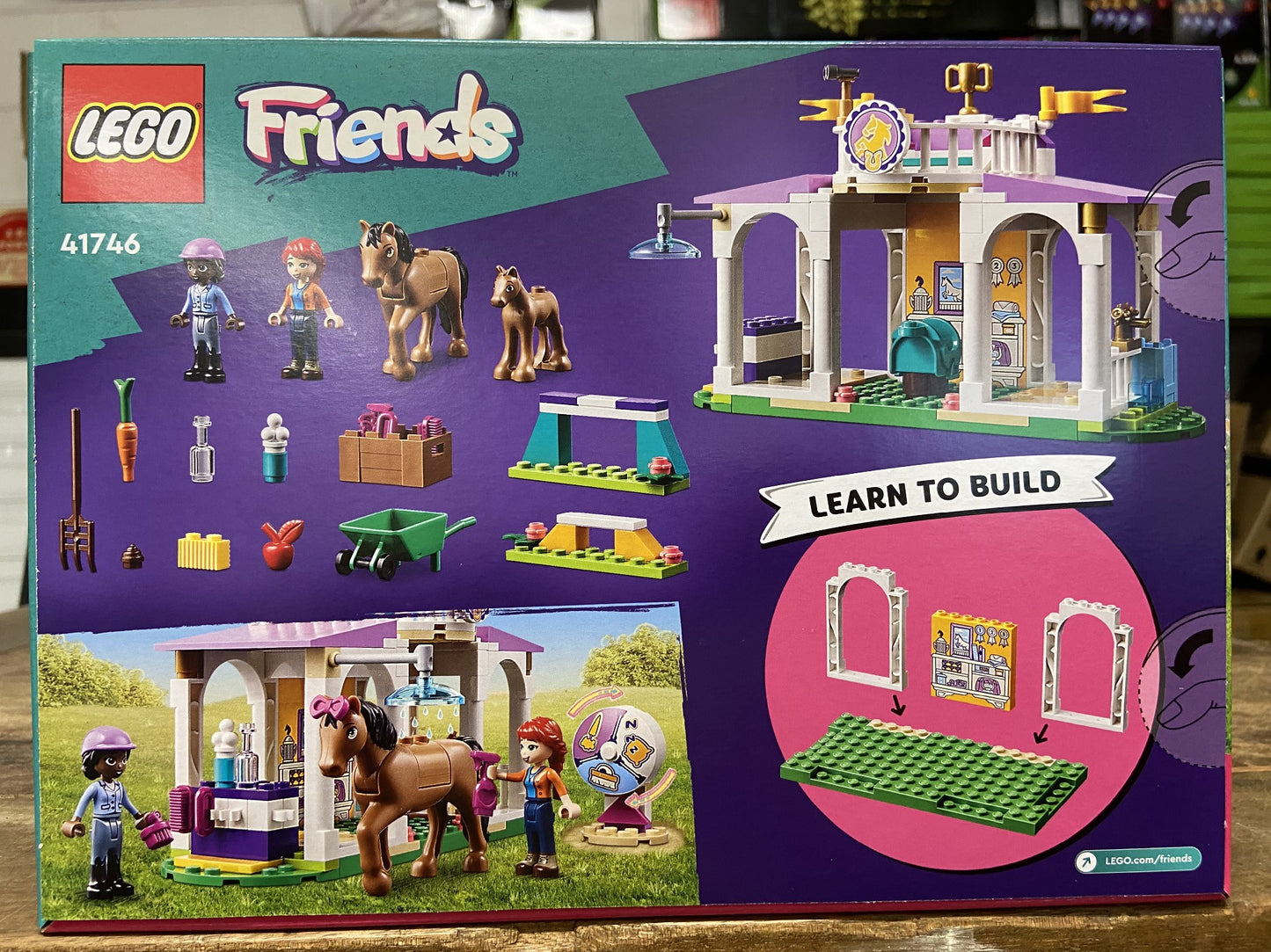 41746 HORSE TRAINING FRIENDS 4+