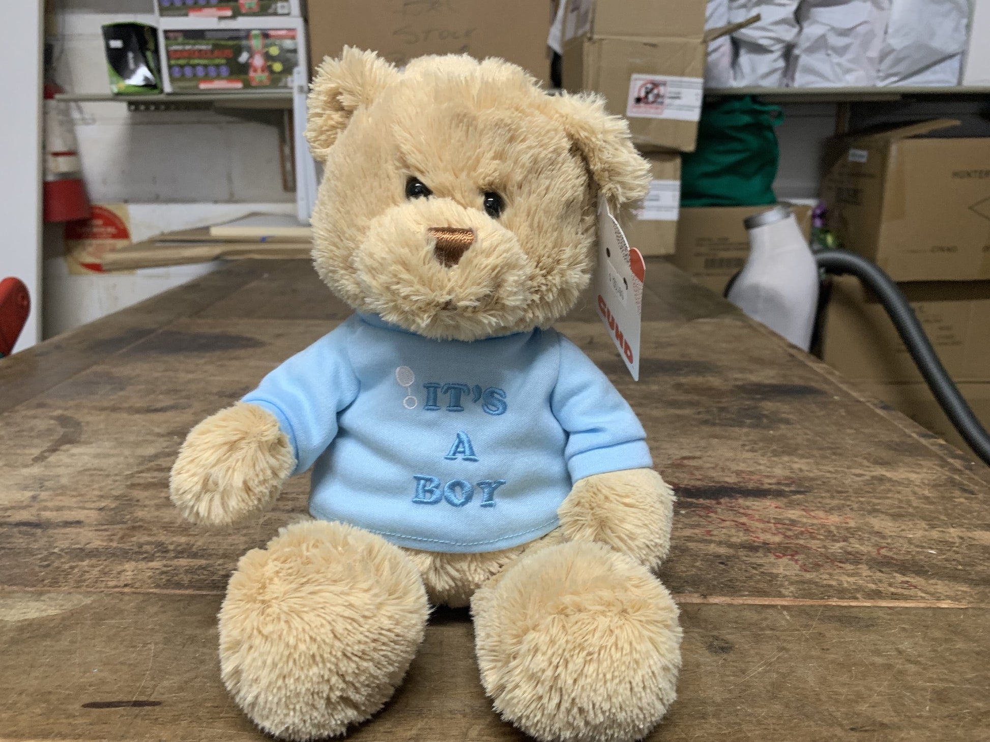 BEAR ITS A BOY BLUE 30CM