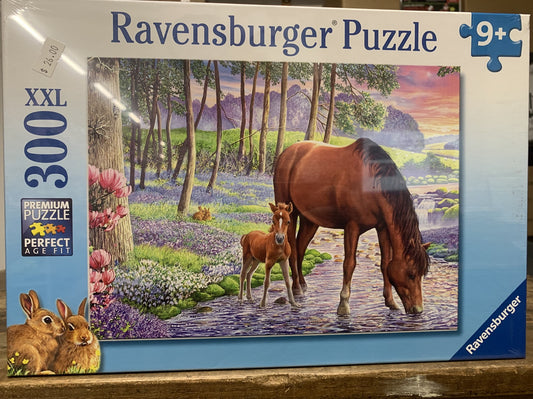 RAVENSBERG PUZZLE 300PC SCRENE SUNSET #132423 