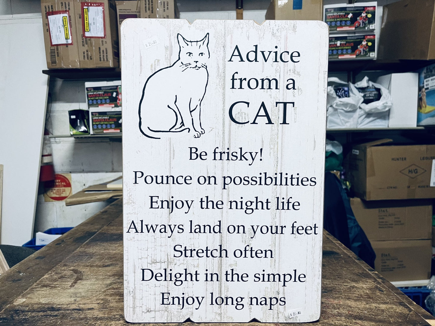 45CM WD ADVICE FROM THE CAT PLANK STYLE PLAQUE