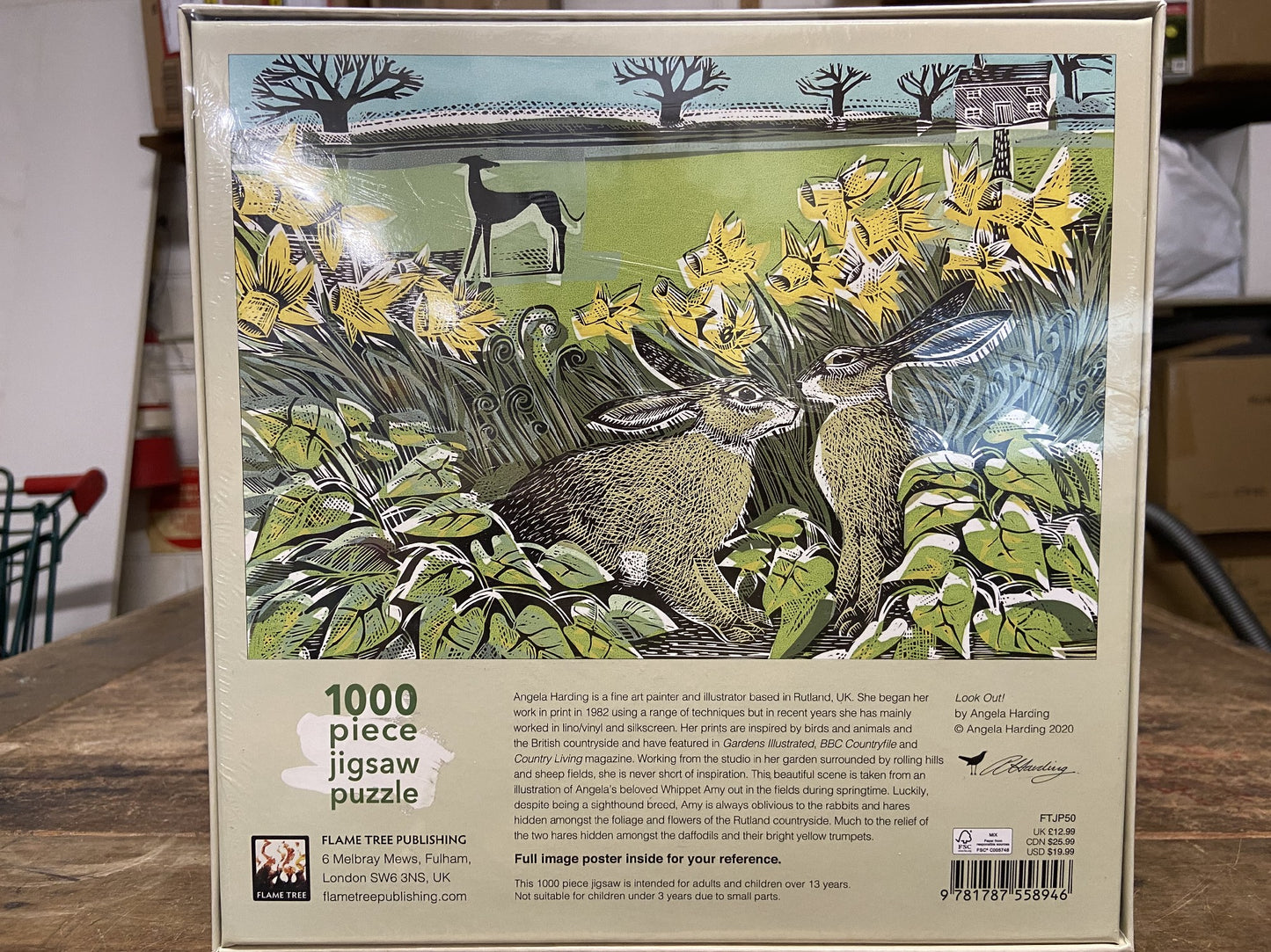 FLAM TREE PUBLISHING 1000 PC LOOK OUT 